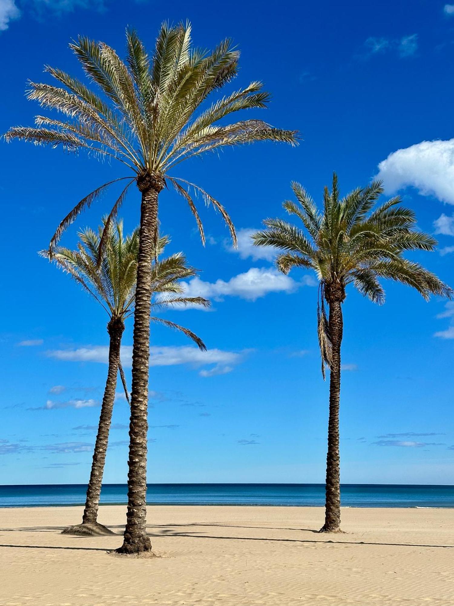 Apartamento Mar&Menta Cullera Bagian luar foto